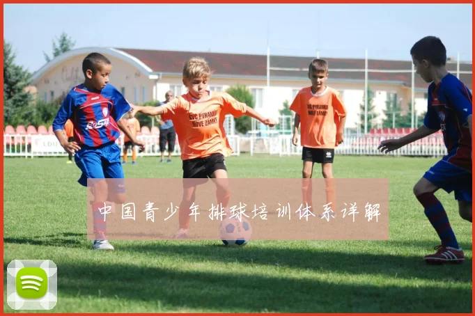 中国青少年排球培训体系详解